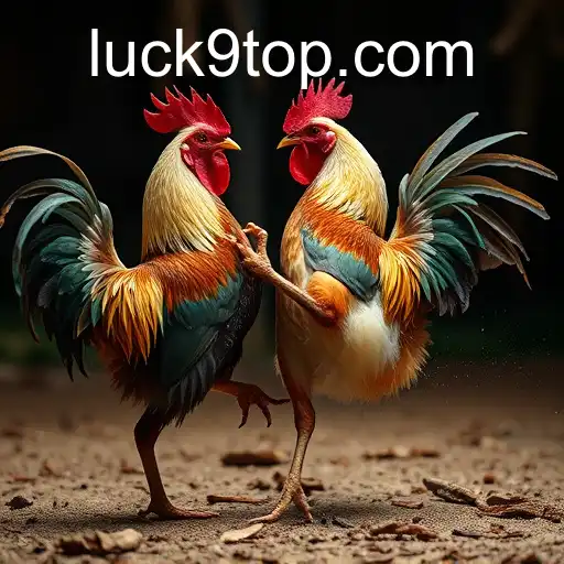 Security and Trust Luck9 - International Licenses and Certifications